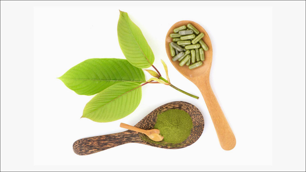 Ways to Enjoy High-Quality White Borneo Kratom