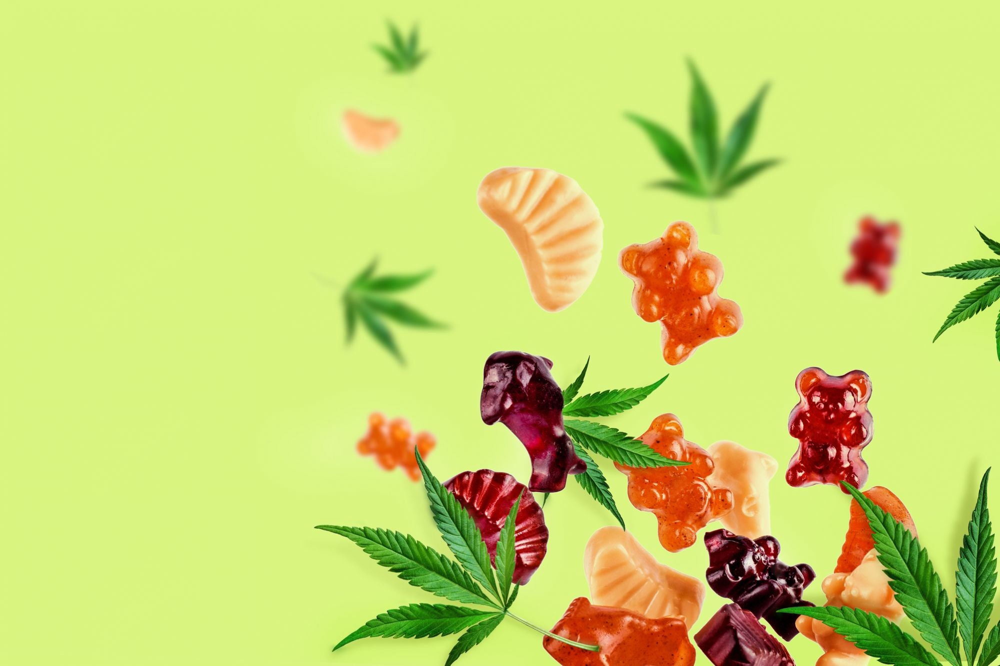 best quality thc gummies 